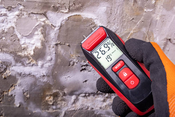 Best Office Mold Removal Services  in Lawrenceburg, IN